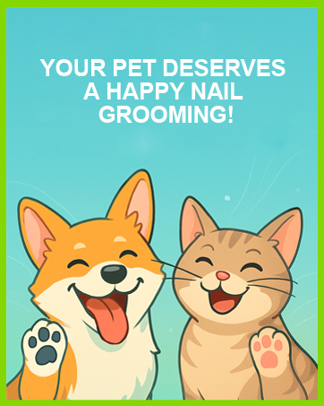 As a dog parents, what we care is our furry friends' feel