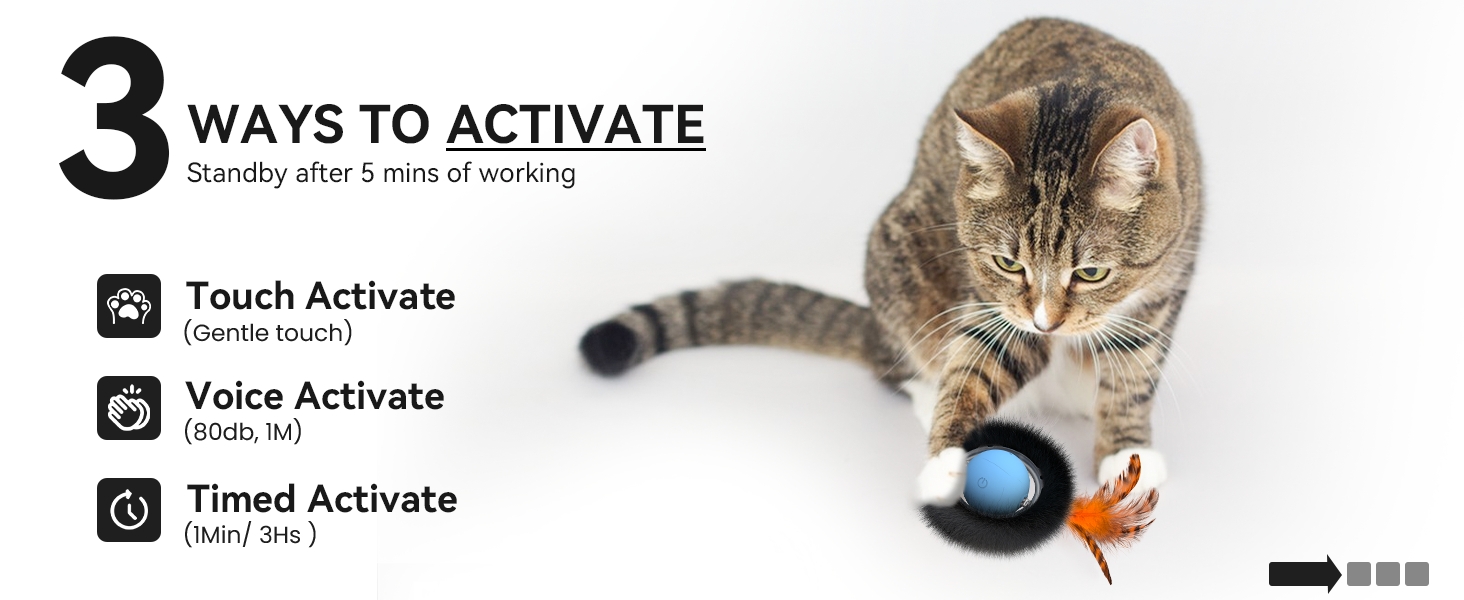 cat toys