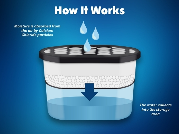 charcoal absorber tub how it works