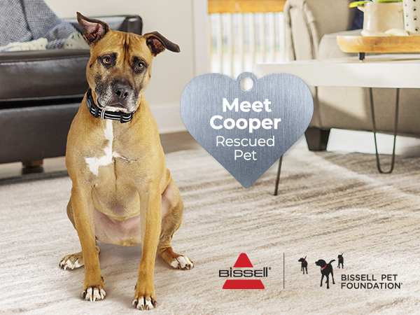 bissell pet foundation