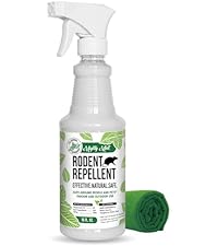 https://m.media-amazon.com/images/I/31AiZ3cGBuL.__AC_SR200,225___.jpg
