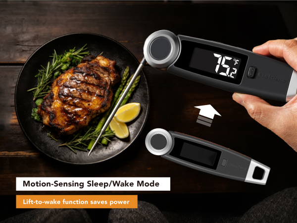 Instant Read Digital Meat Thermometer