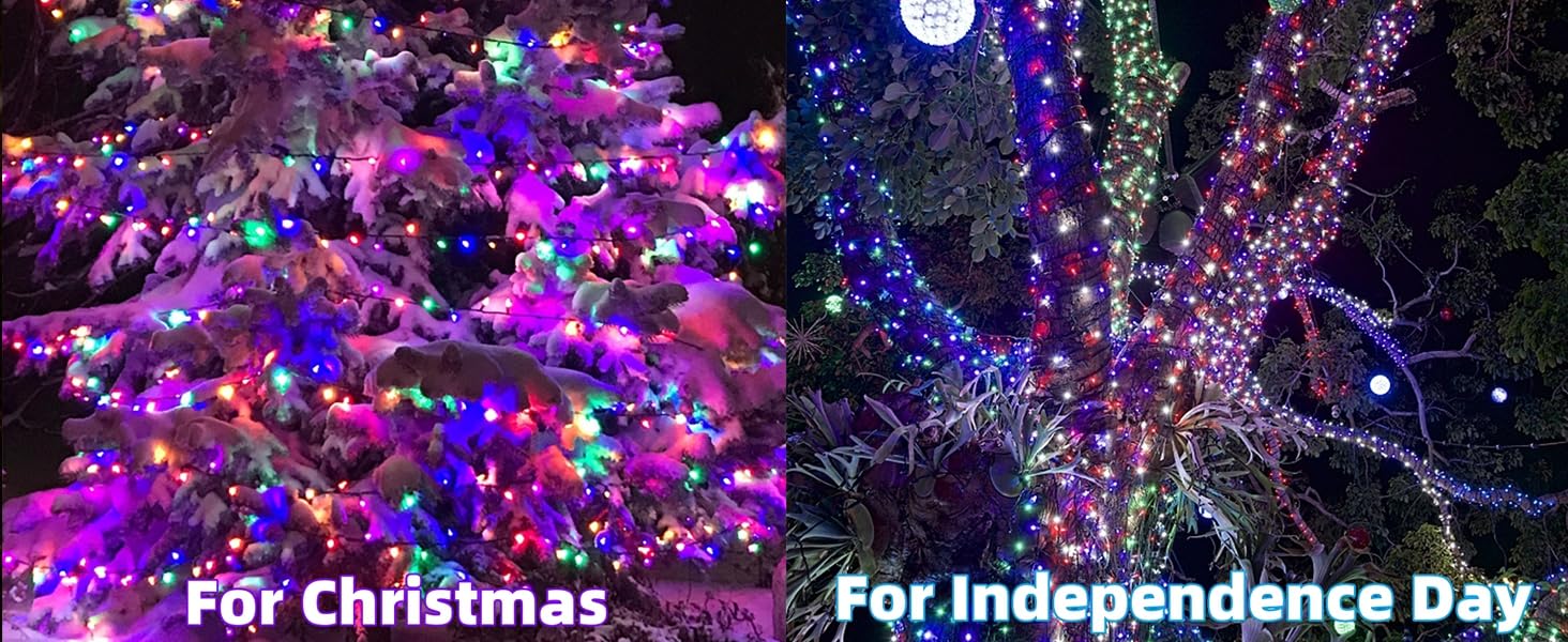 66ft Christmas Decorative Mini Lights