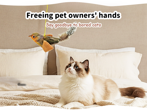 Freeing pet owners' hands