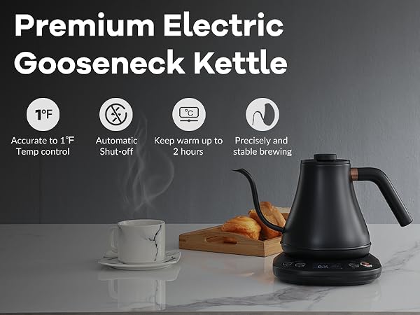 Electric Kettle Water Boiler