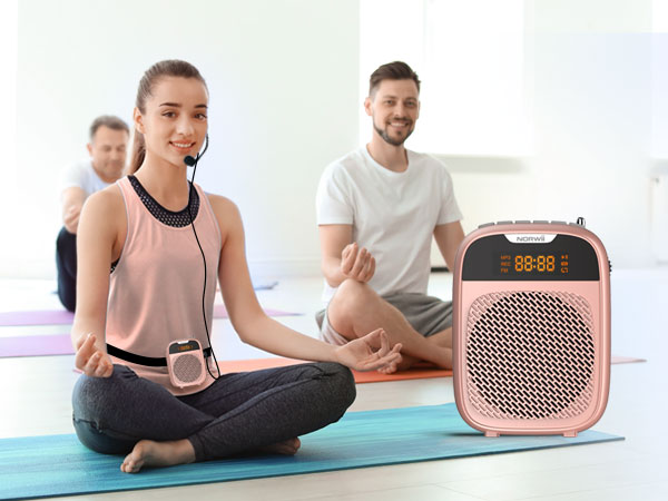 voice amplifier
