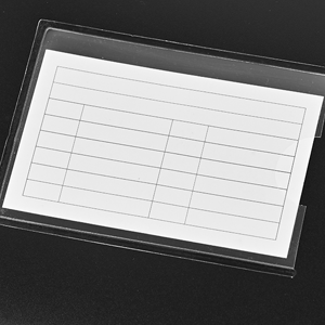 Folder Inserts with Tabs