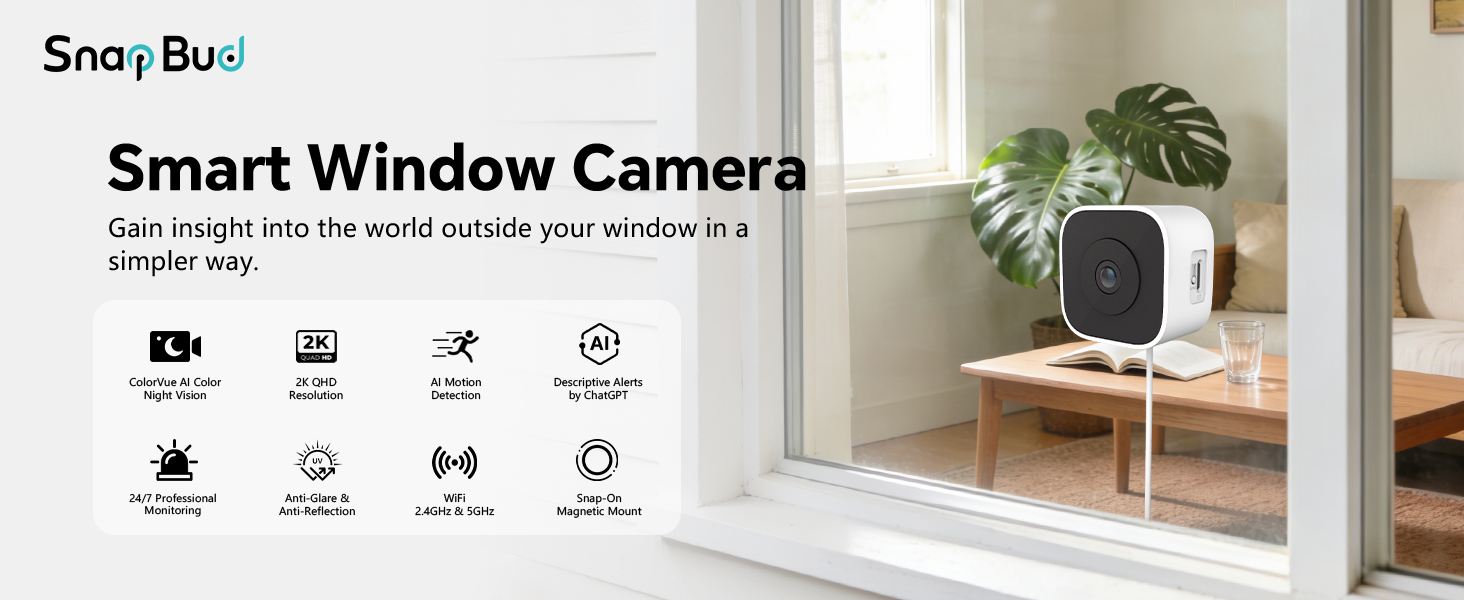 window camera