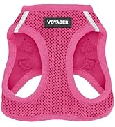 Best Pet Supplies Voyager Step-in Air Dog Harness - All Weather Mesh, Reflective, No Pull Harness...