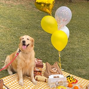 picnic