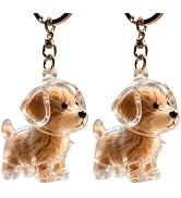 glozaic Pet Hair Collection Keychain Keepsake Container Transparent Adorable Dog Hair Memorial Ke...
