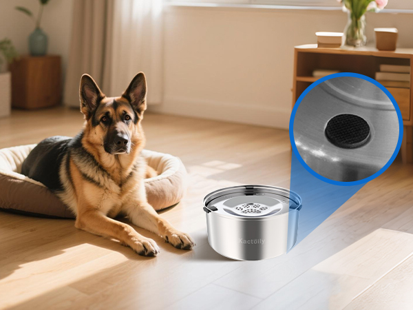 no spill dog water bowl