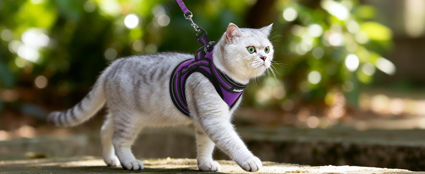 cat harness