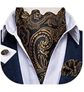 DiBanGu 3PCS Ascot Ties for Men Wedding Jacquard Woven Silk Ascot Cravat for Men Cravat Tie and P...