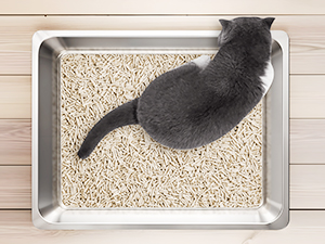 open top litter box
