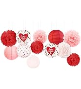 NICROHOME EUR Valentine's Day Decorations, 12 PCS Pink Red Love Tissue Paper Pom Poms and Lantern...
