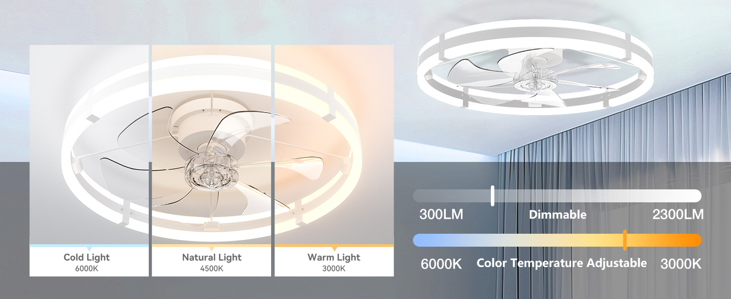 Ceiling fan