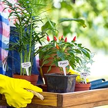 plant lables