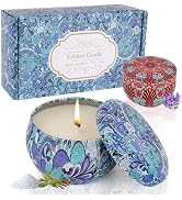 2 Pack Scented Candles,2.5 oz Aromatherapy Candles Gifts for Women,Natural Soy Candles for Home S...