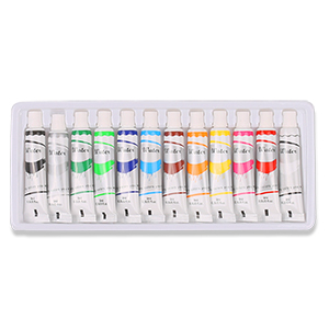 12 Colors Paint Set