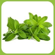 STEVIA