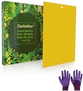 Carbelina Plant Fly Sticky Trap Sticks, Sticky Gnat Traps for Indoor Plants, with Kids Gardening ...