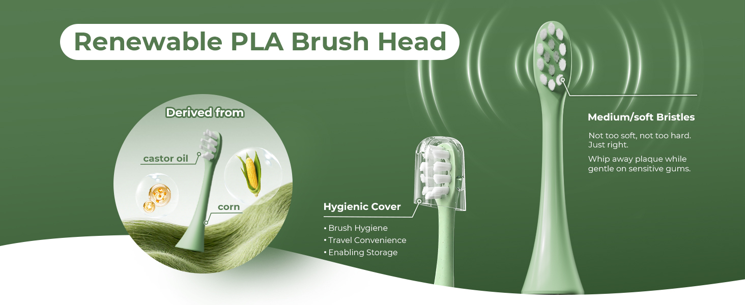 toothbrush replacement heads