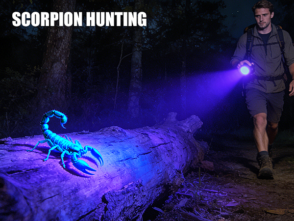uv flashlight rechargeable