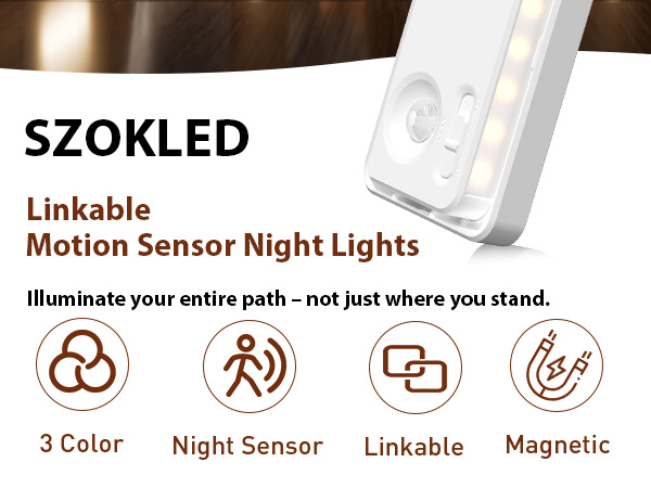 motion sensor light