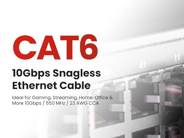 Ethernet Cable 100ft