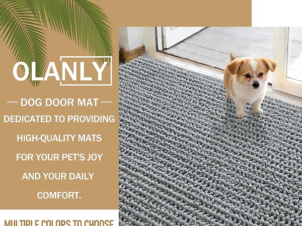 Door Mat