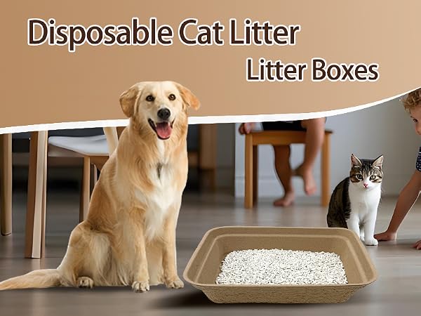 cat litter box