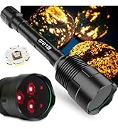 LBJD 365NM UV Black Light Flashlite, High Power Blacklight Flashlights with Professional Filtered...