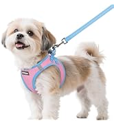 rabbitgoo Dog Harness Small Sized and Leash Set, Step-in Breathable Pet Harness, Soft Walking Ref...