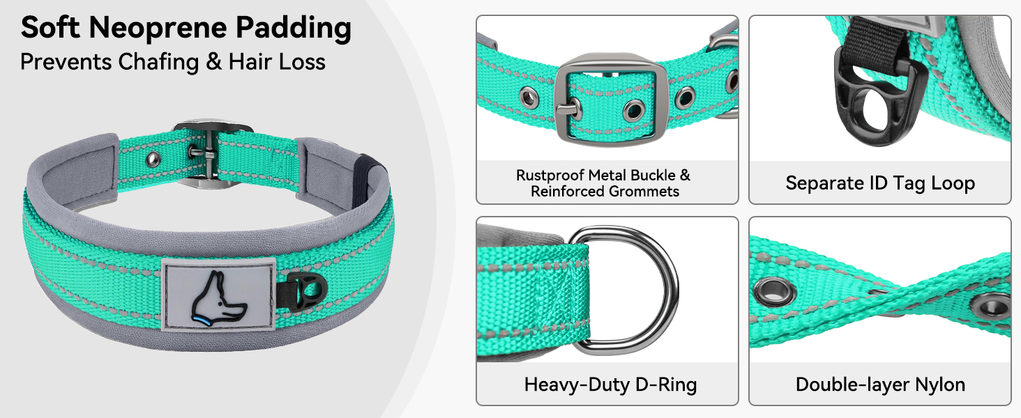 dog collar