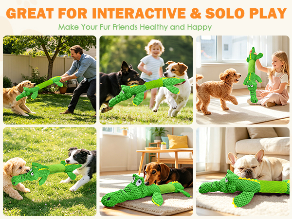 Large dog toys for tugging, chewing, or close play