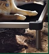 Multiple product photos showing cat toys being played with on a couch setting. Toy appears to be on a string or wand-type design.