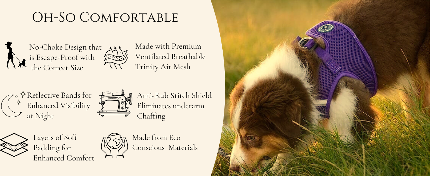dog harnesses
