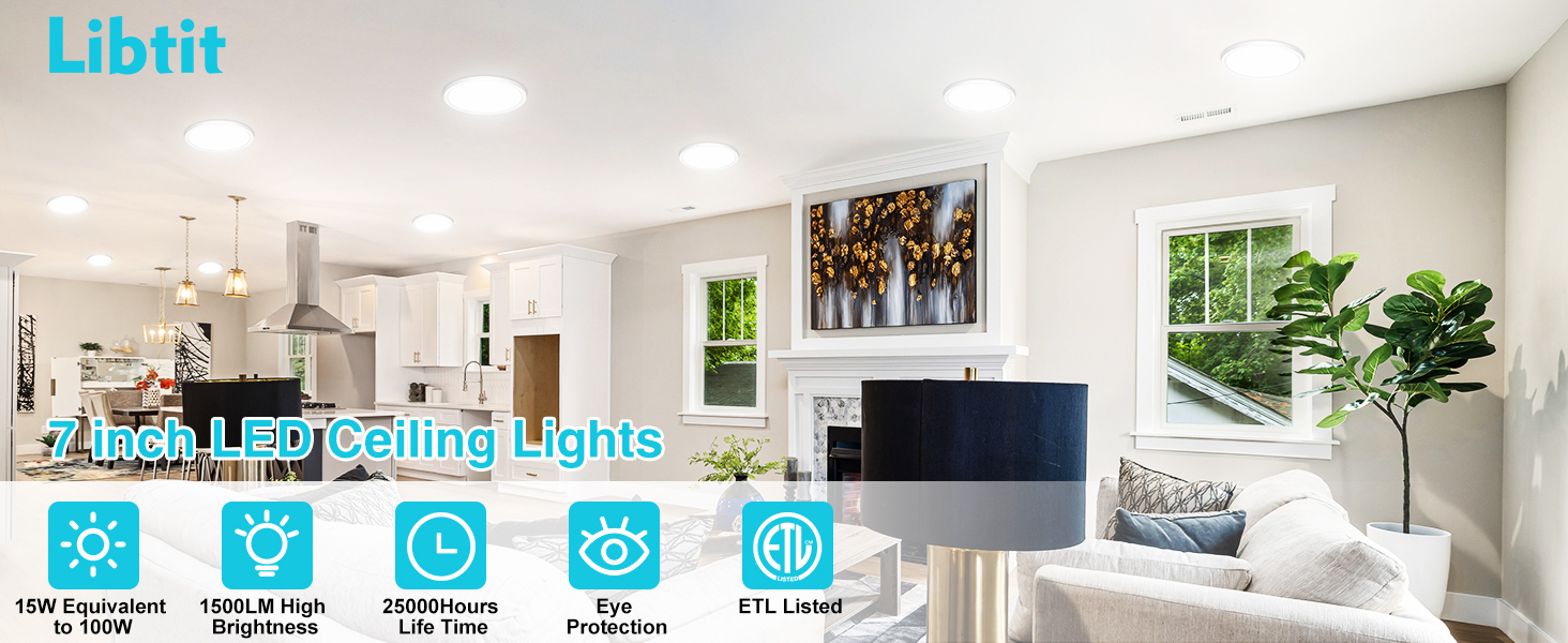Led Ceiling Light Flush Mount