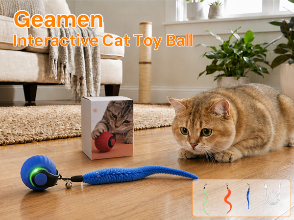 cat interactive toy