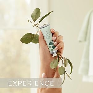 Experience