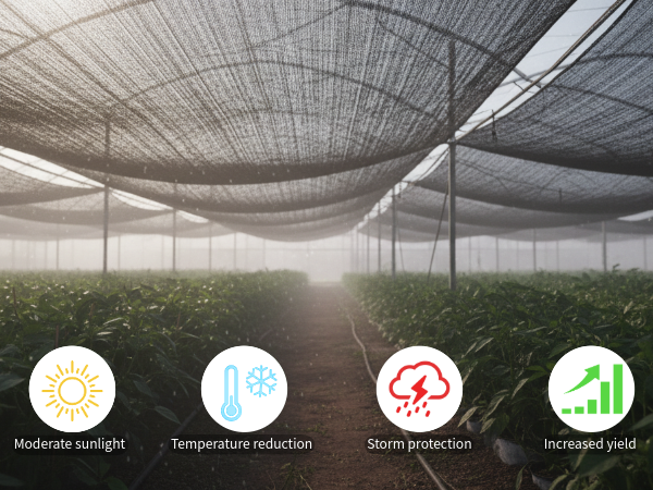 Temperature Control Enhanced Plant Growth Water Retention Improved Germination UV Protection