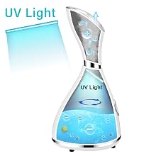 face steamer