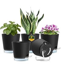 https://m.media-amazon.com/images/I/41G85sxw4lL.__AC_SR200,225___.jpg