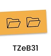 Brother Genuine P-touch TZeB31 Label Tape in cardboard pack: Black on Fluor Orange 12mm