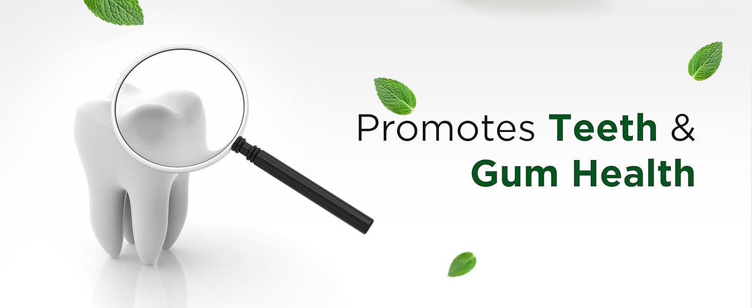 Promotes Teeth & Gum Health