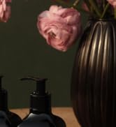 Shop Steeped Rose Collection