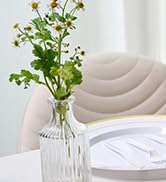 disposable plates