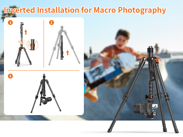 Inverted Installation for Macro Photography
