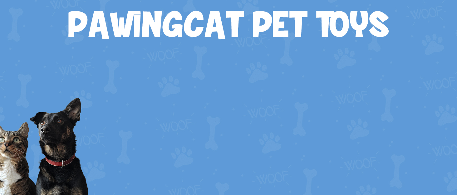 cat toys